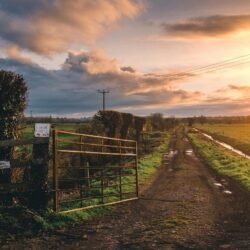 Agrícola Córdoba servicio
